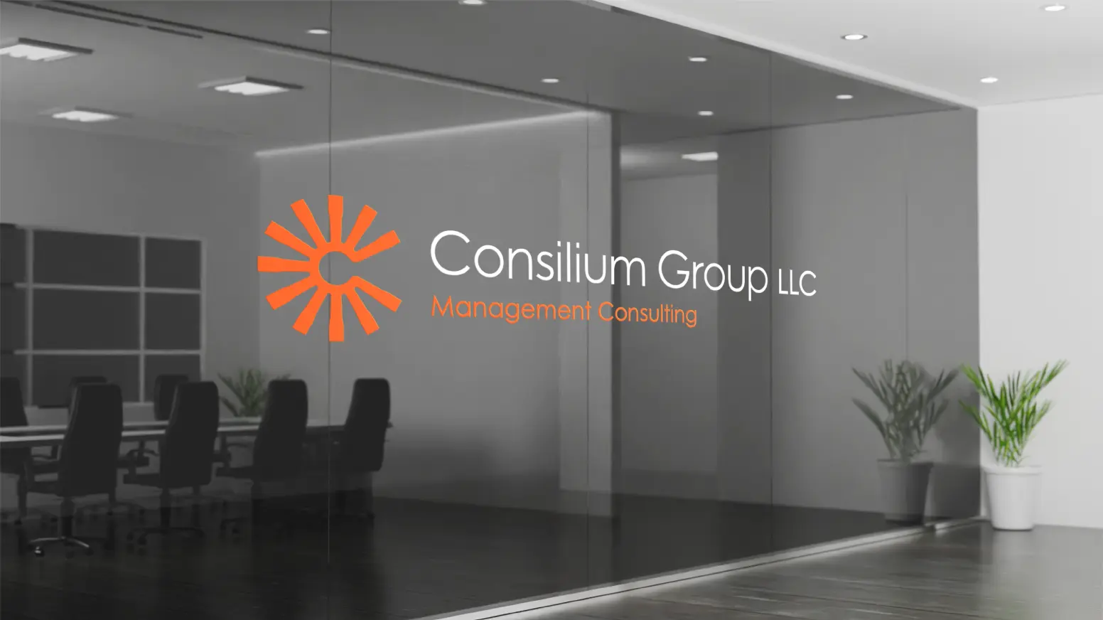 Consilium Group Brand Assets 01