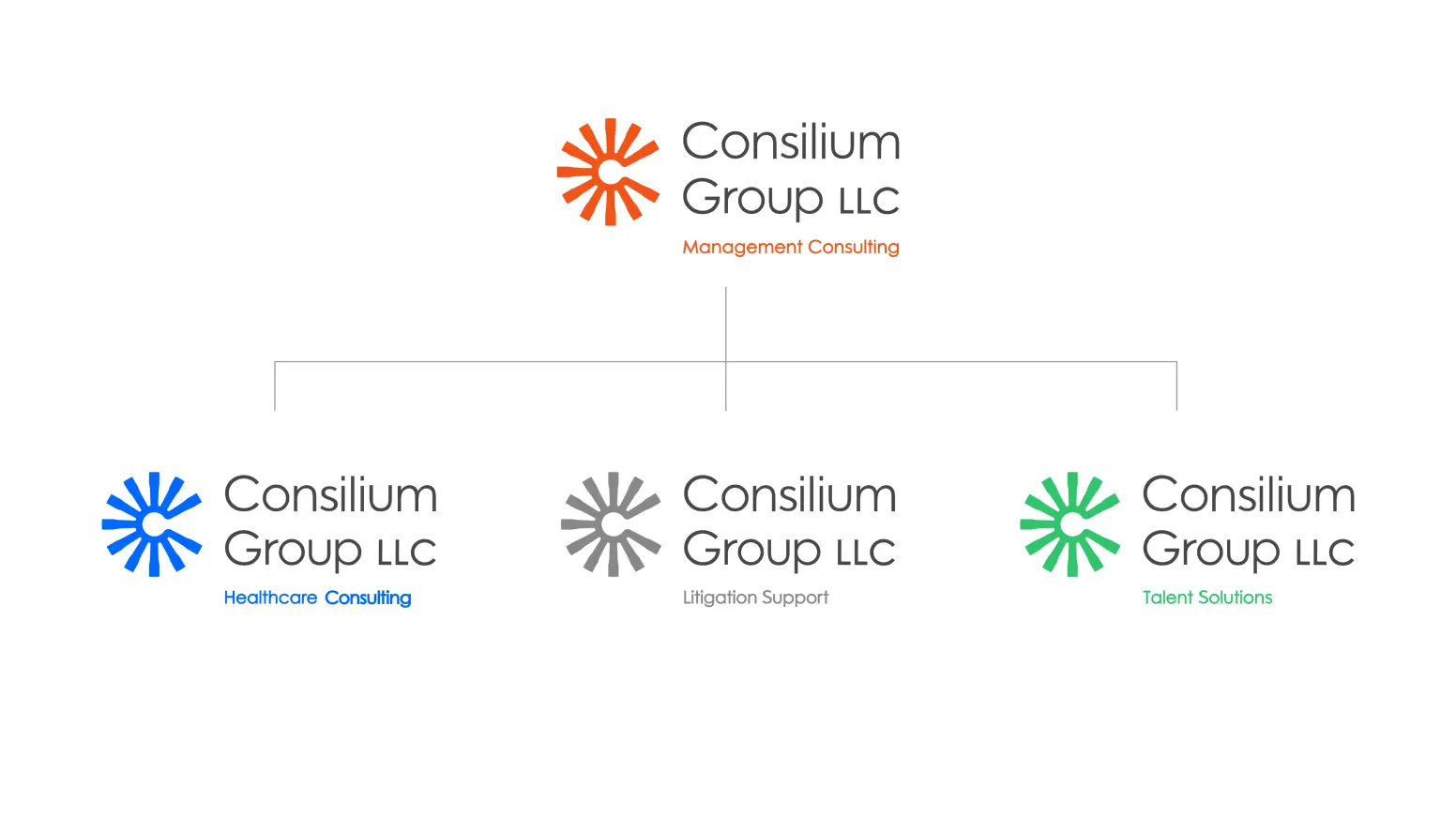 Consilium Group Sub-Brands